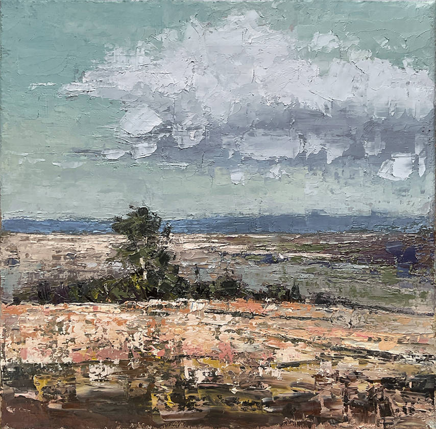 Landscape Near Conara