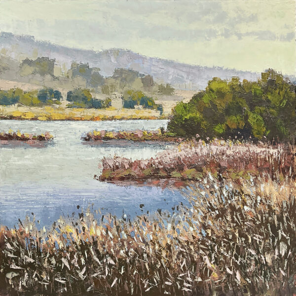 Tamar Island Wetlands