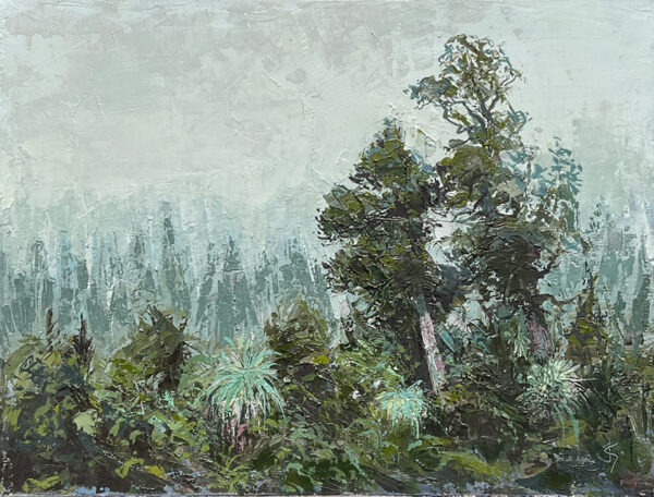 Tasmanian Highlands